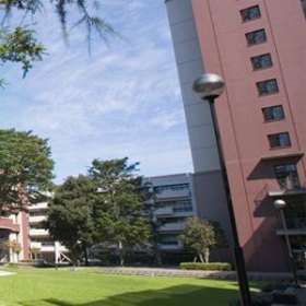 成蹊大学
