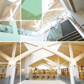 田園調布学園大学